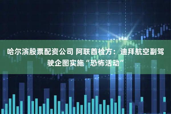 哈尔滨股票配资公司 阿联酋检方：迪拜航空副驾驶企图实施“恐怖活动”